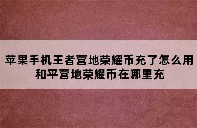 苹果手机王者营地荣耀币充了怎么用 和平营地荣耀币在哪里充